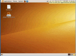 Virtualized Ubuntu Splash Screen