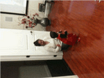 A video clip before conversion